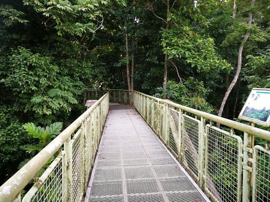 Rainforest Discovery Centre